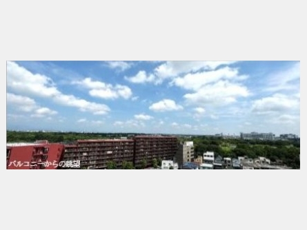 ウィルローズ立川