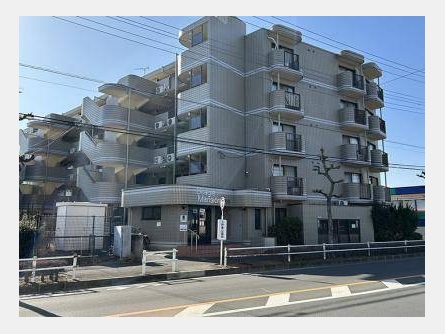 ビーグルマンション東大和